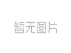 原始技术和国家高科技区种族新兴行业轨道的研